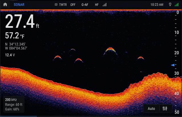 Fictional sonar display showing fish arches and the lake bottom
